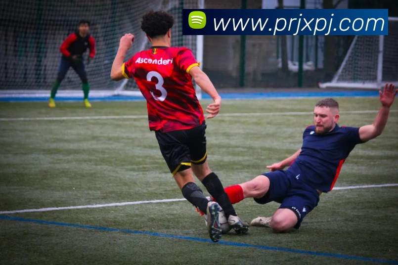 新葡京娱乐平台生态图